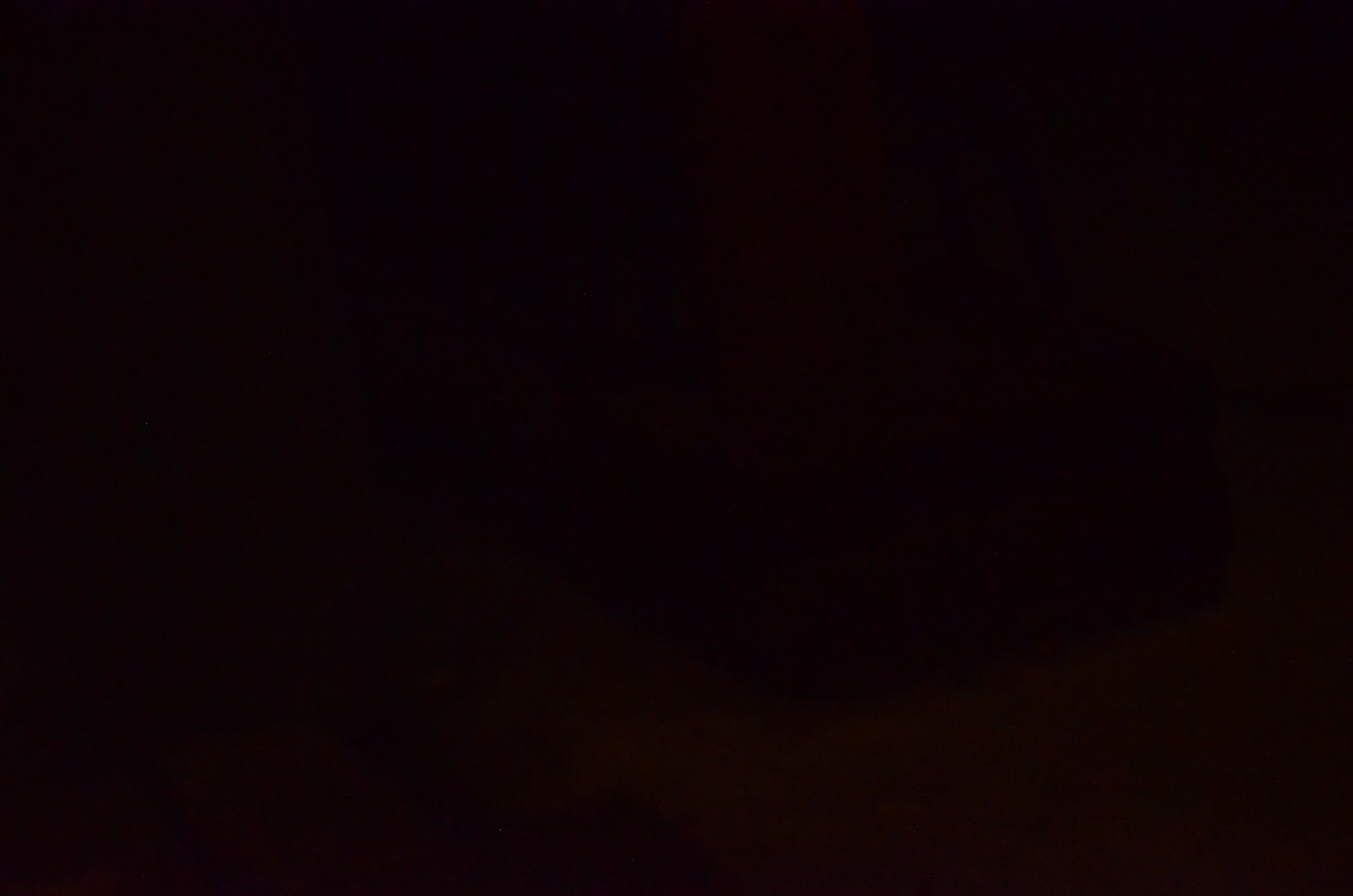 DSC_4452.JPG
