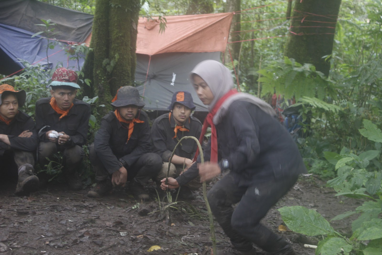 _MG_4022.JPG