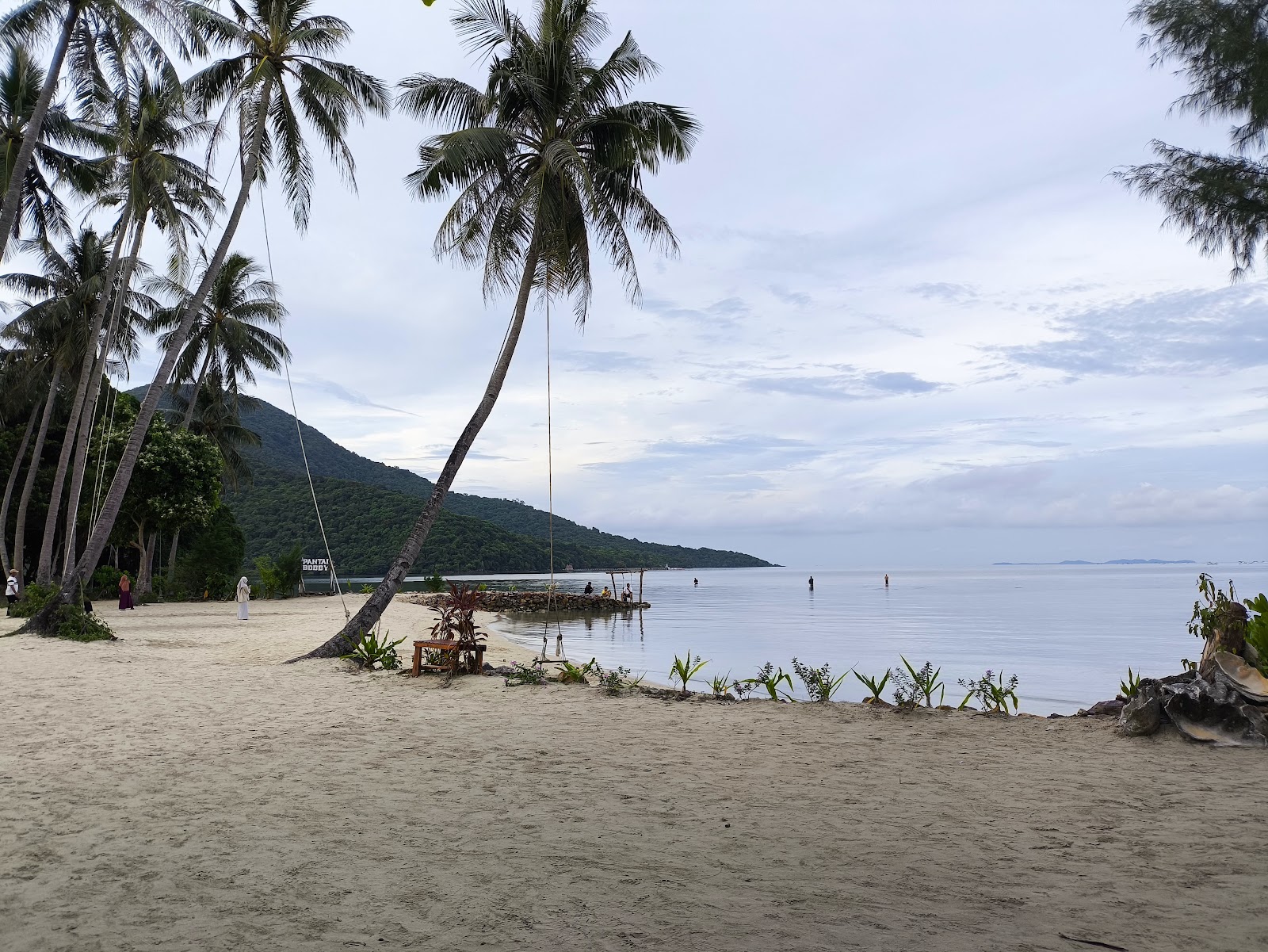 IMG_20250512_165645.HEIC