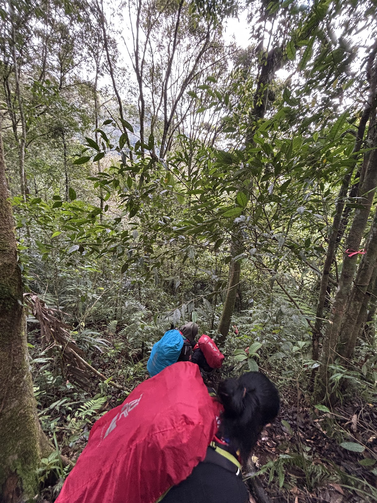 IMG_1367.JPG