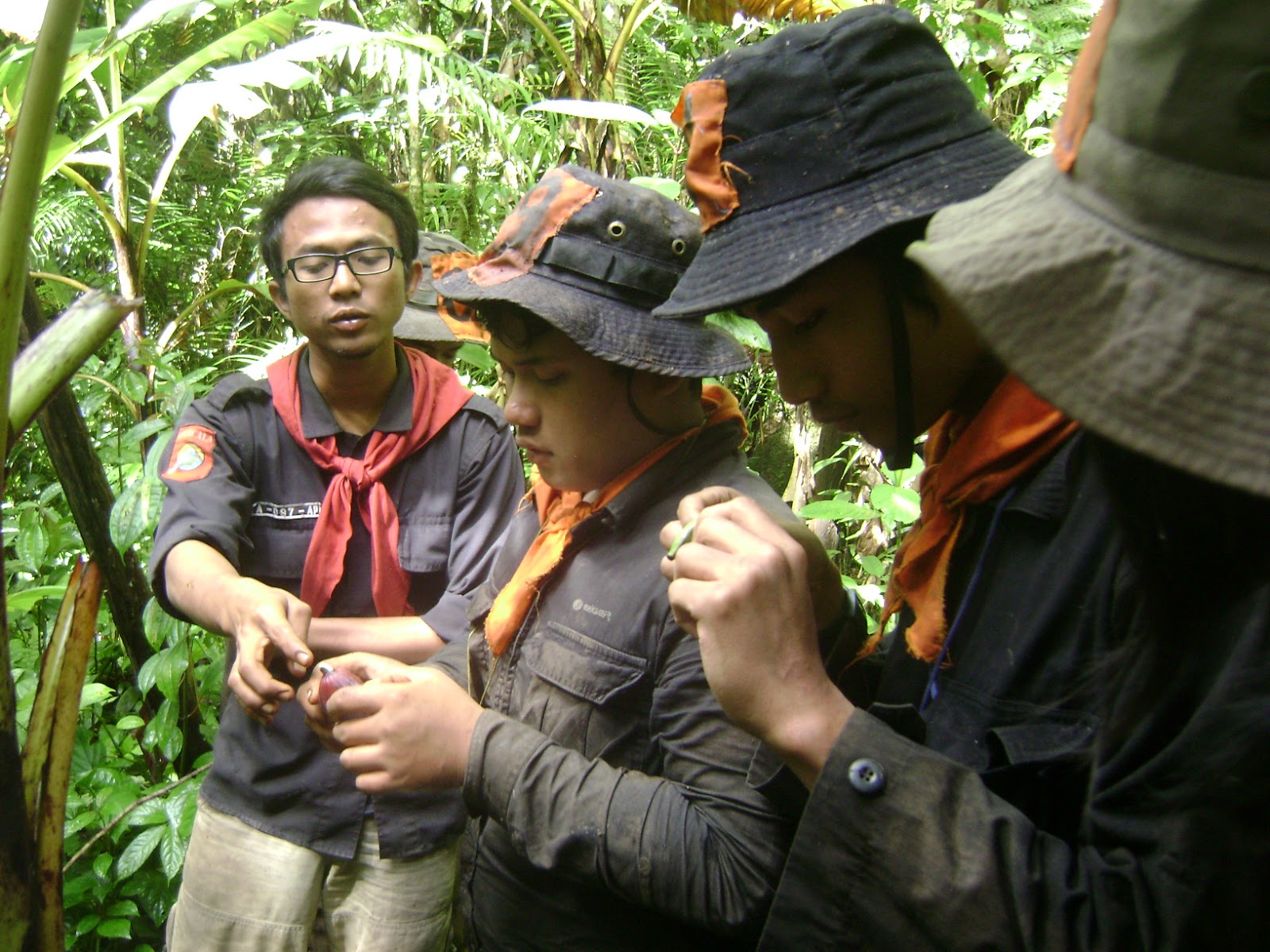 DSC00007.JPG