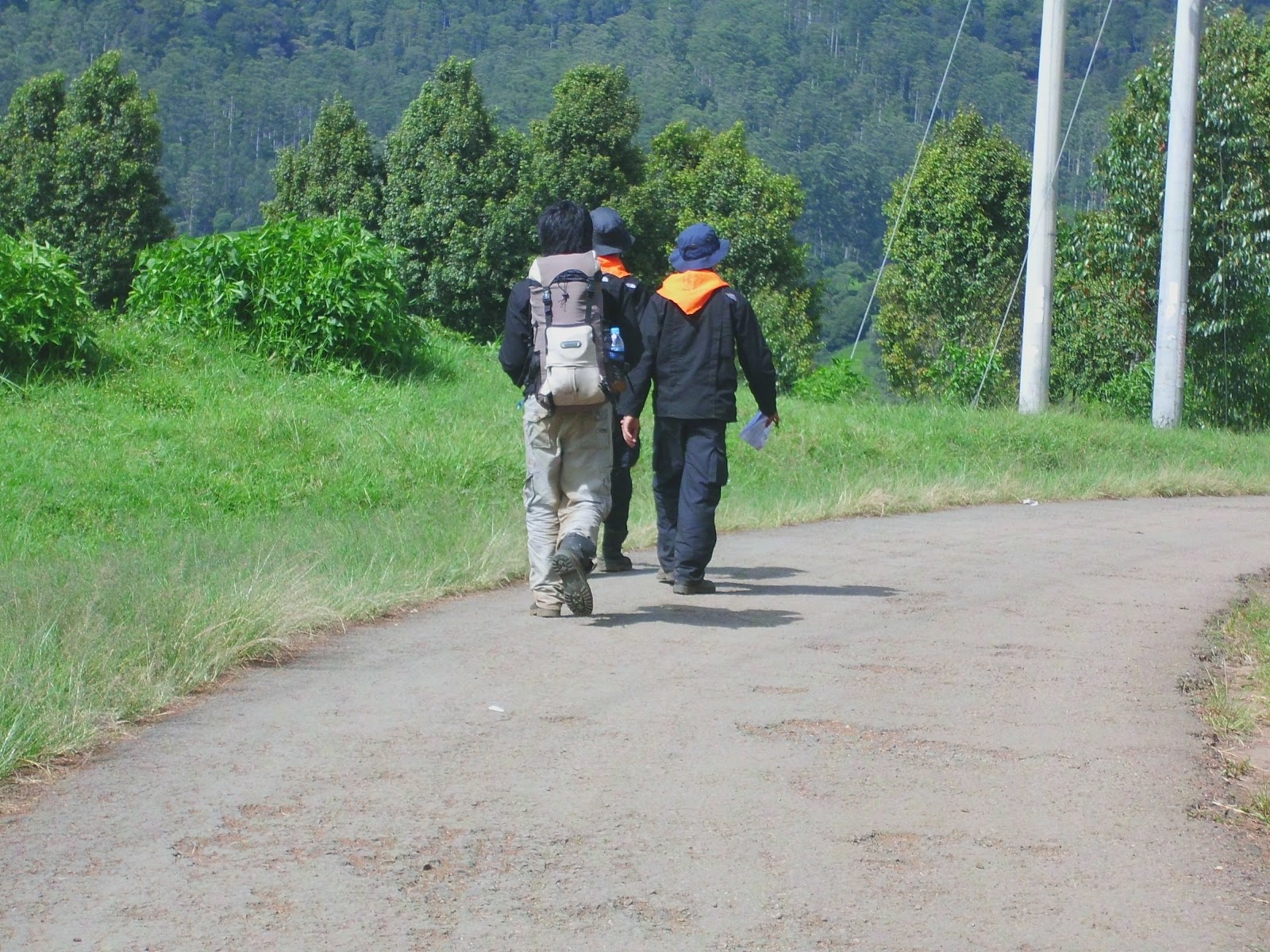 CIMG0797.JPG