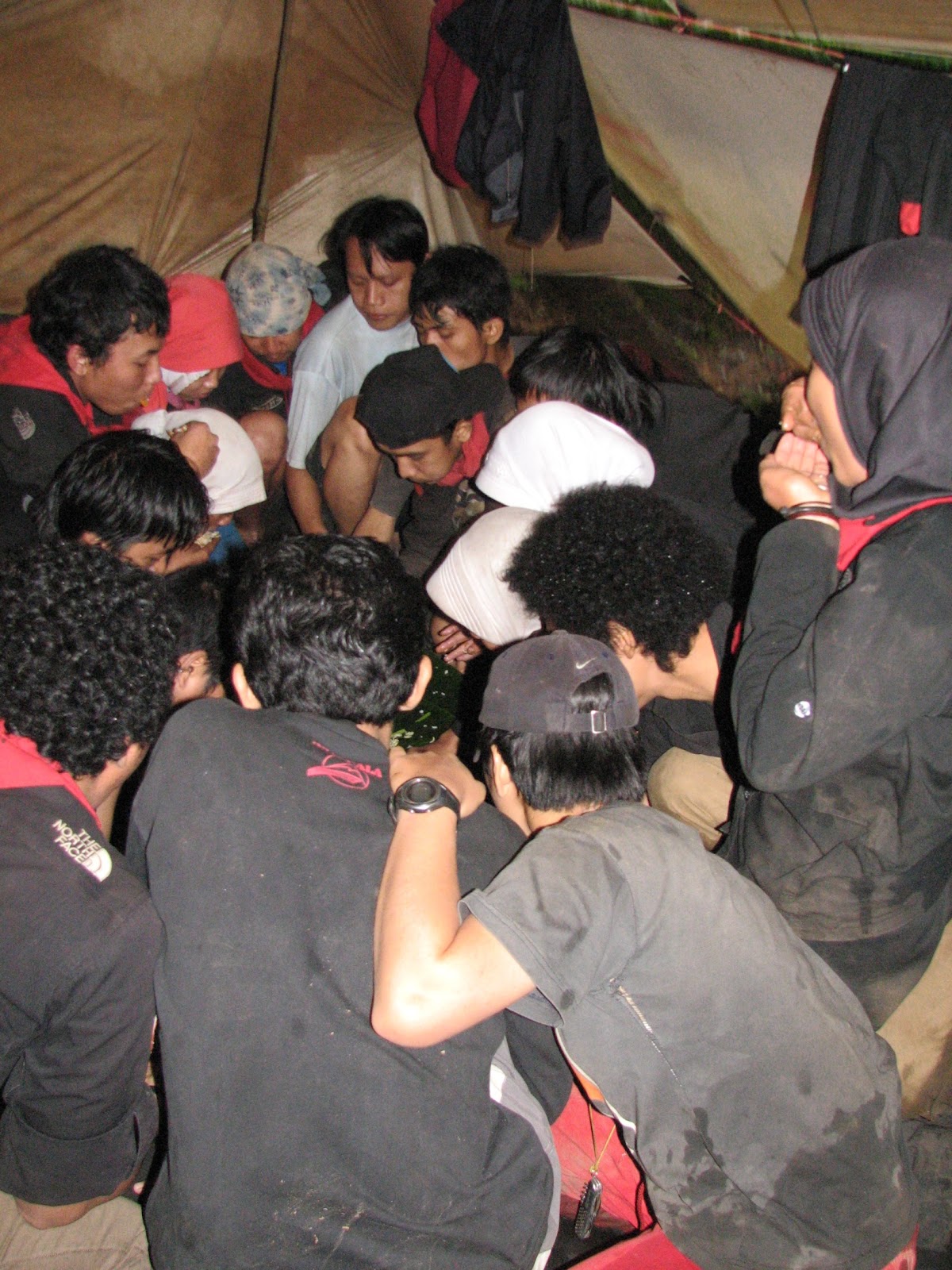 IMG_4501.jpg