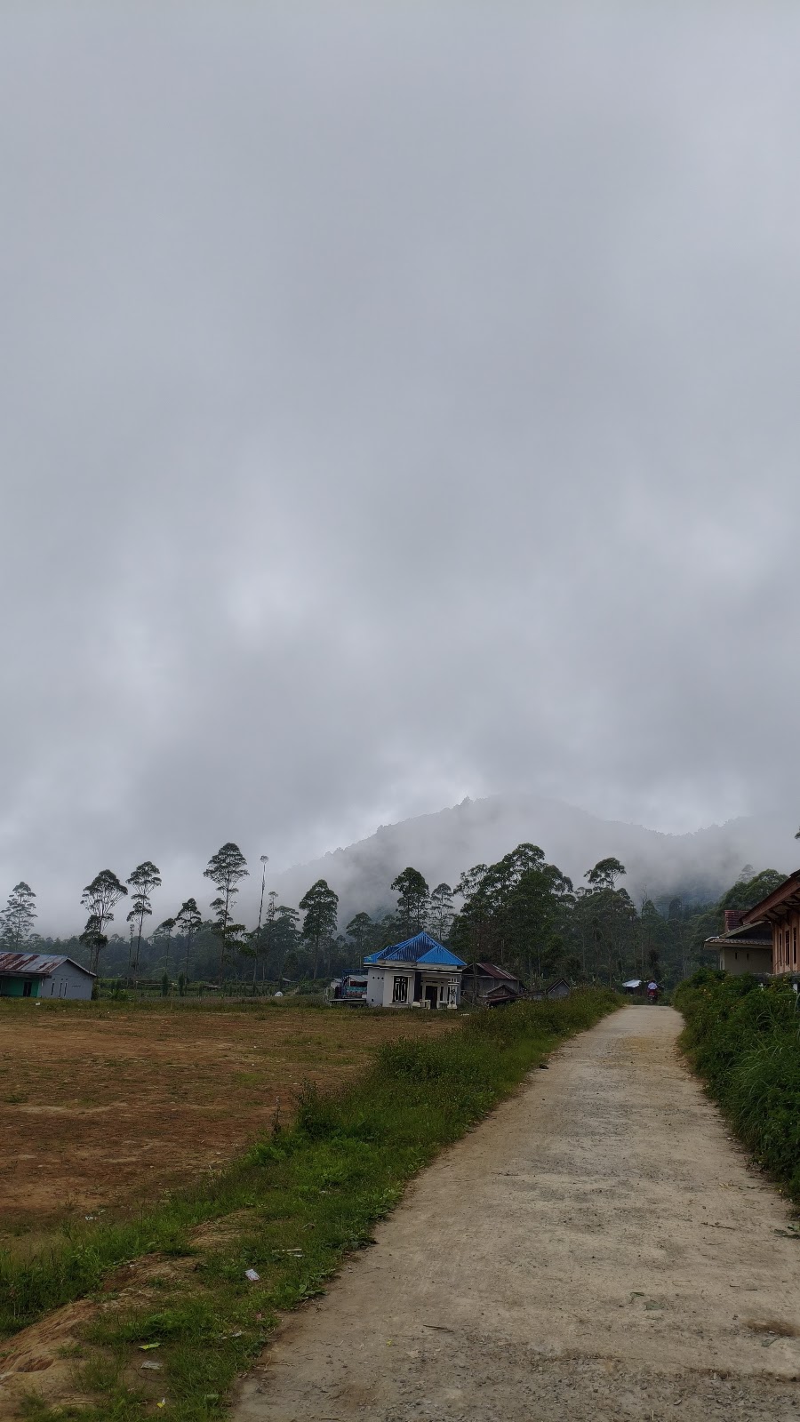 MVIMG_20250722_073713.jpg