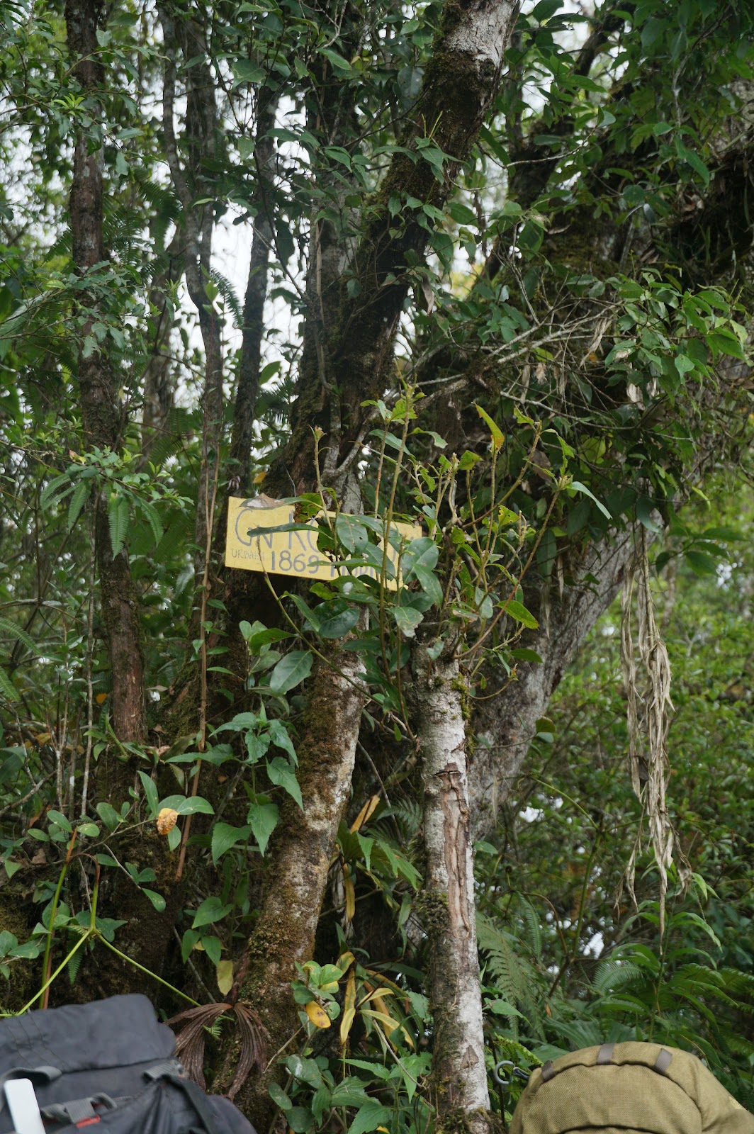 LDK00568.JPG