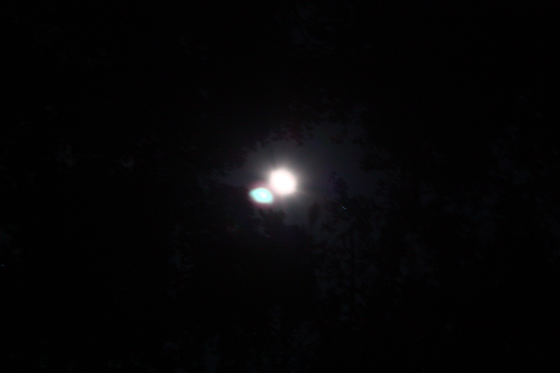 IMG_1628.JPG