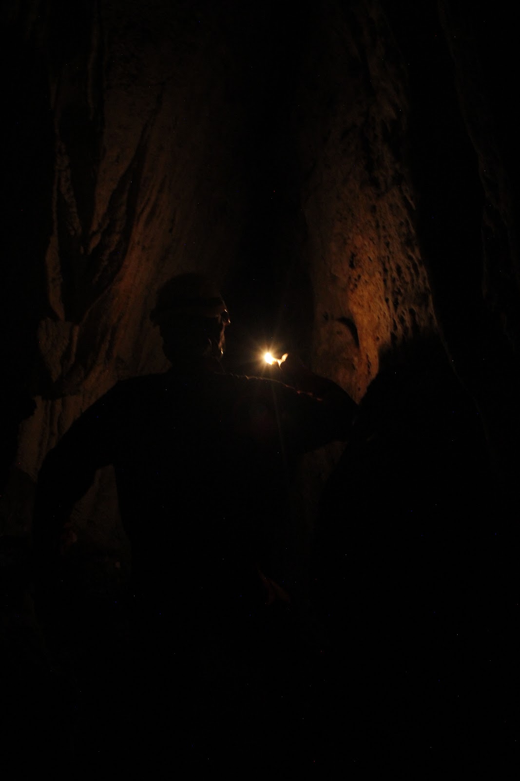 _MG_8764.JPG