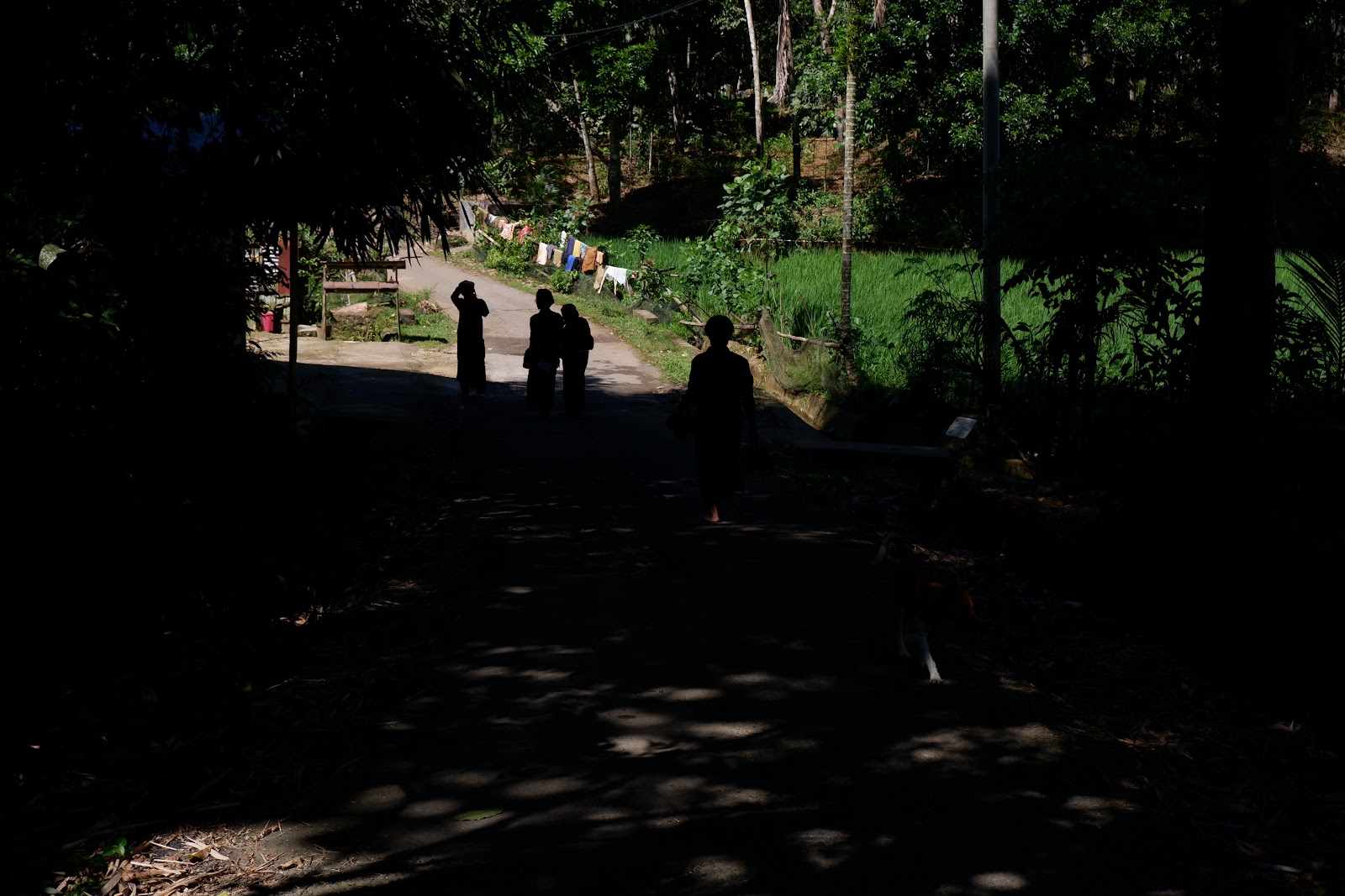 DSCF2105.JPG