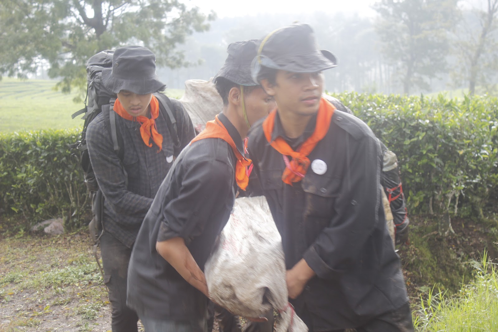 _MG_3137.JPG
