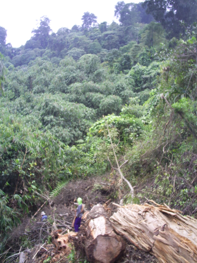 S3020013.JPG