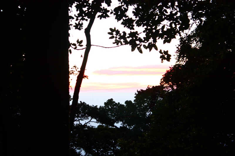 IMG_1684.JPG