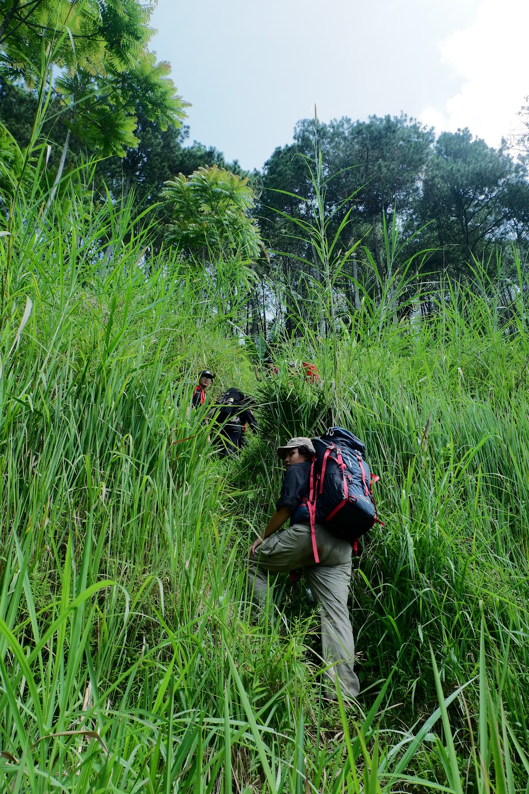 DSCF6459.JPG