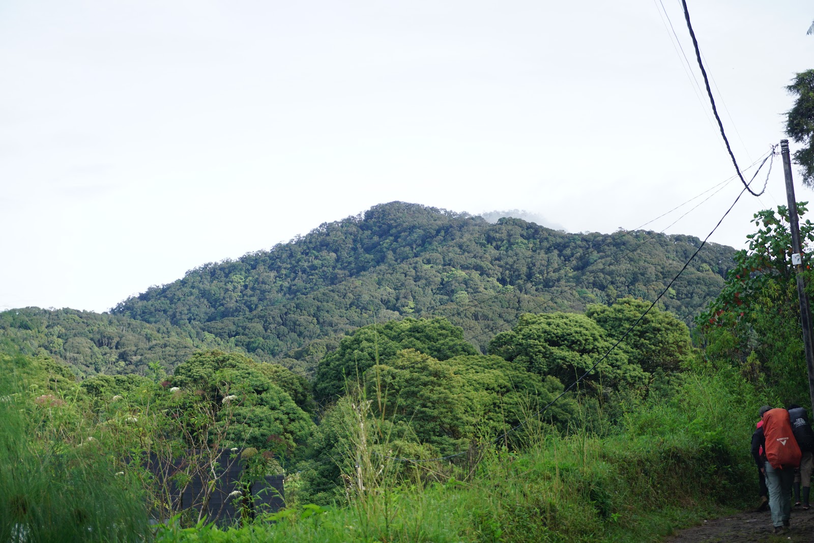 DSC07802.JPG
