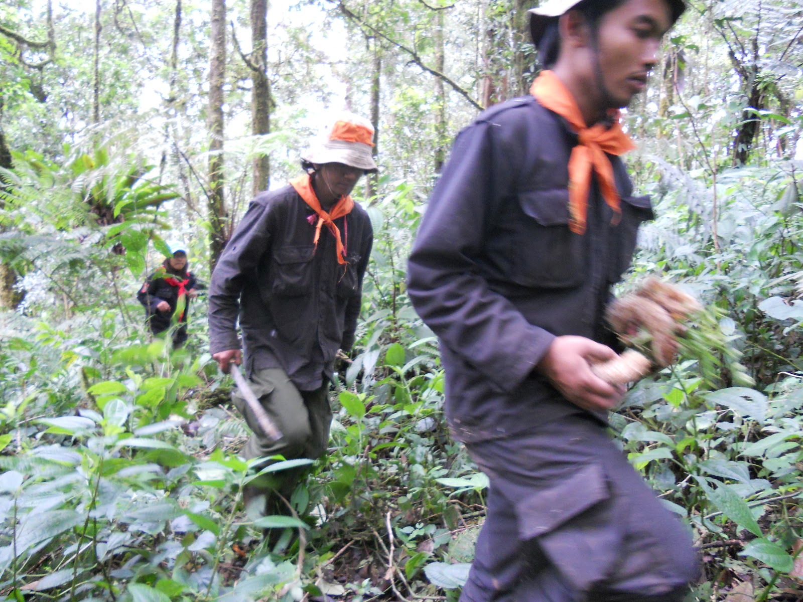 DSCN1599.JPG