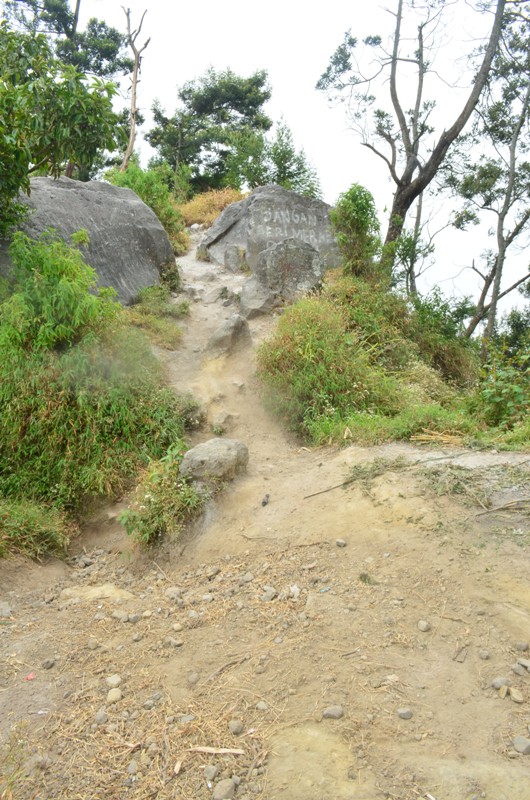 DSC_0013.JPG