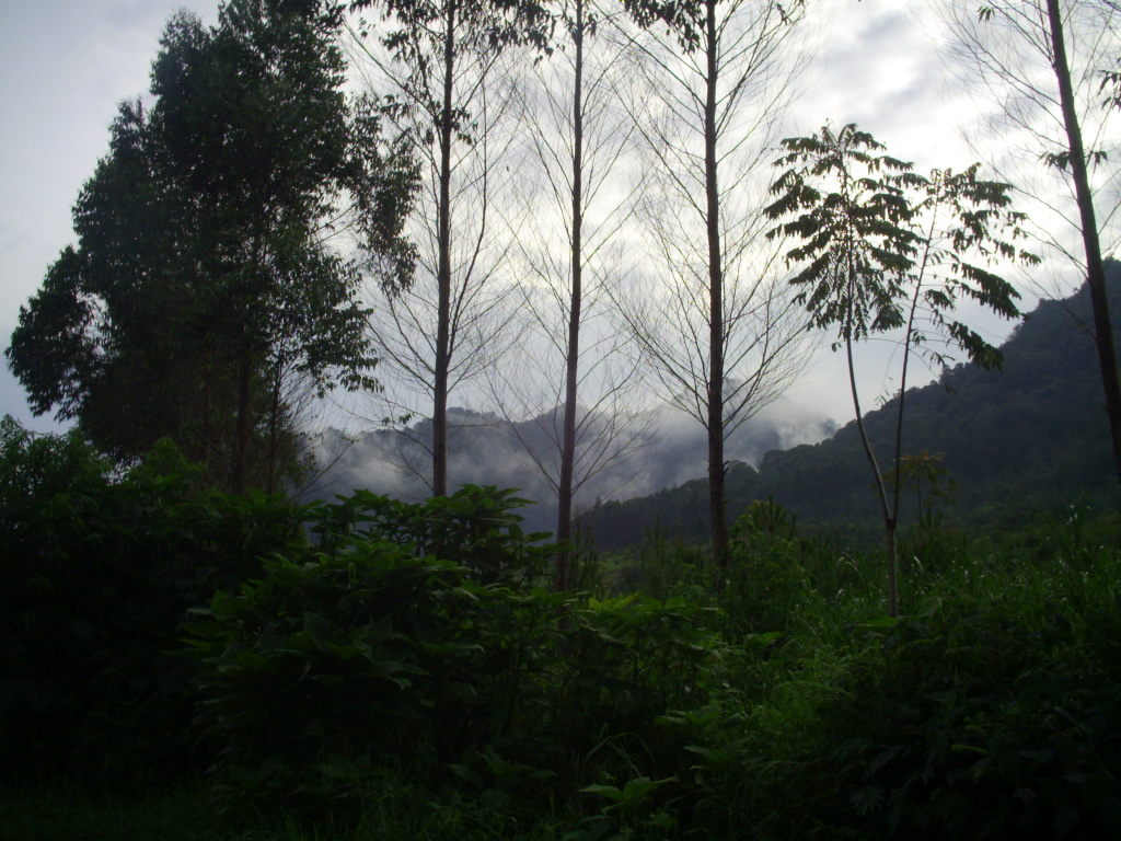 S3020117.JPG