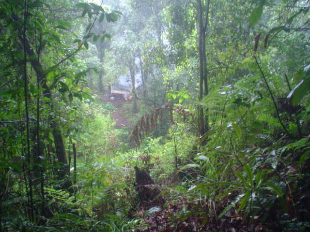 DSC01355.JPG