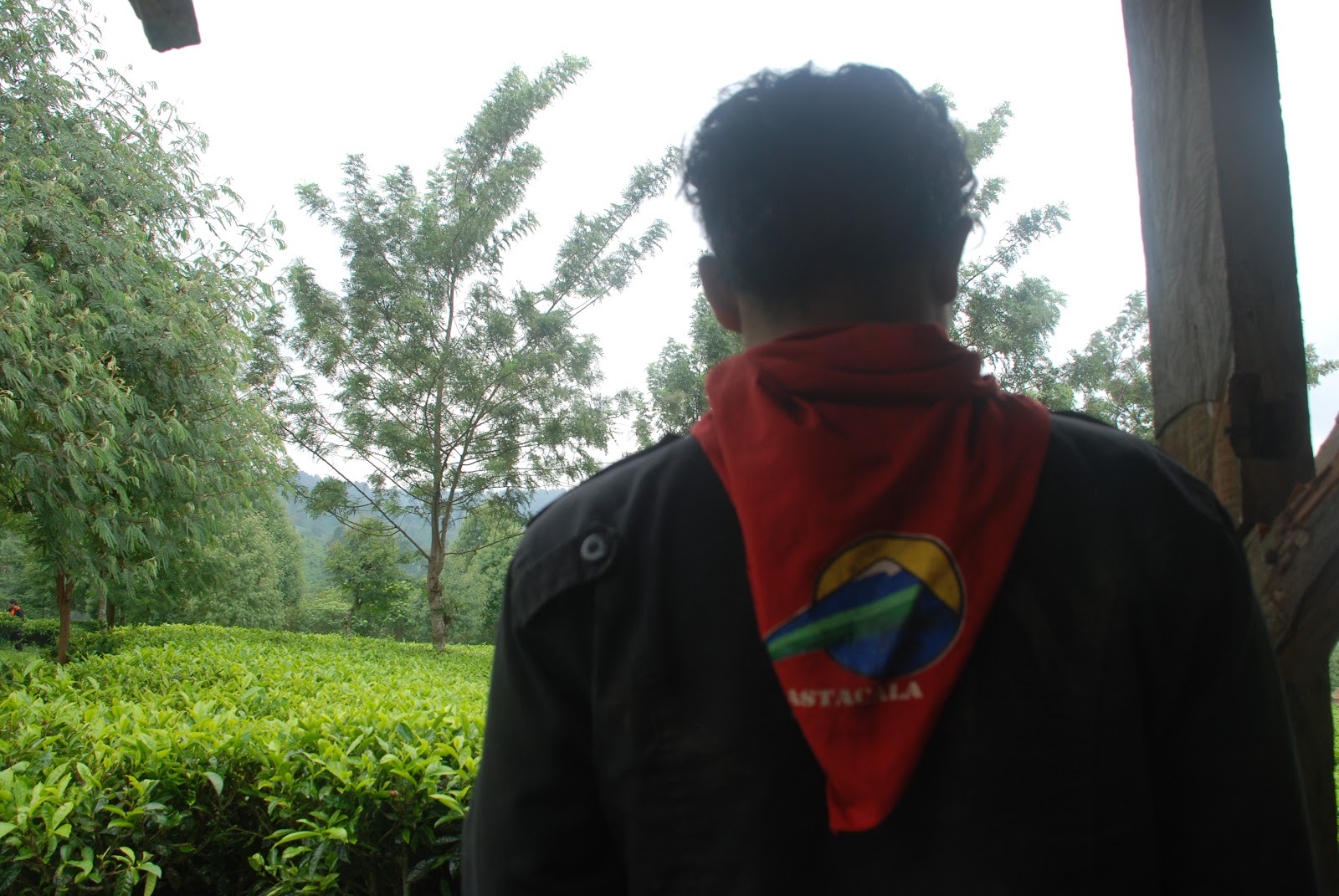 DSC_0468.JPG
