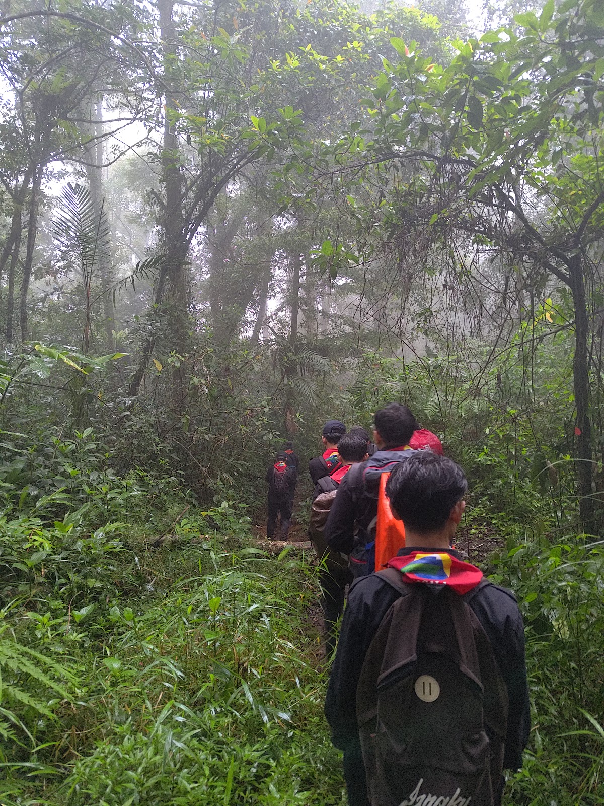 RA_20251214_154608_lmc_8.4.jpg