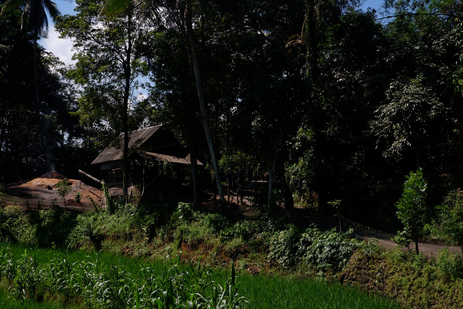 DSCF2113.JPG