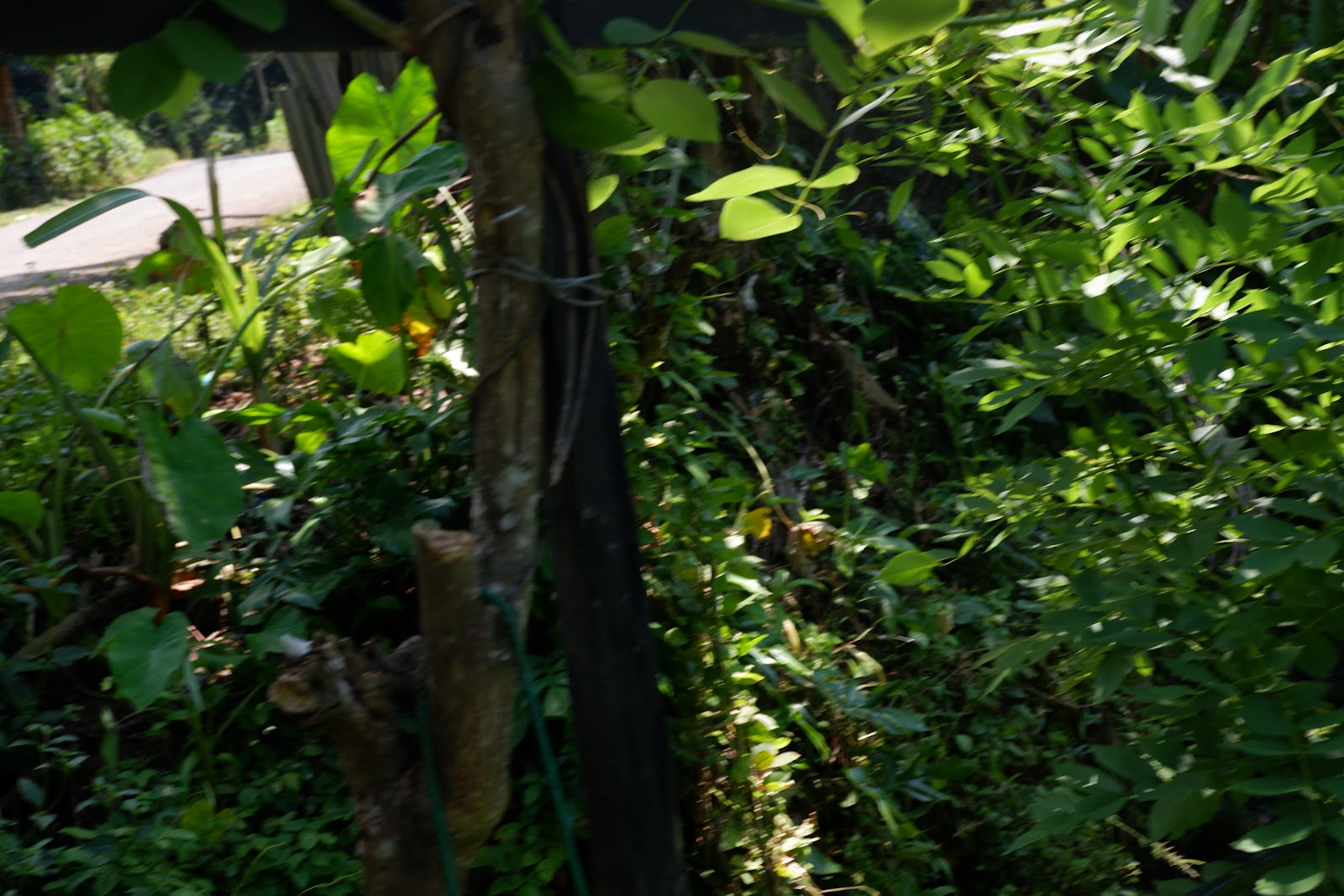 DSCF2149.JPG