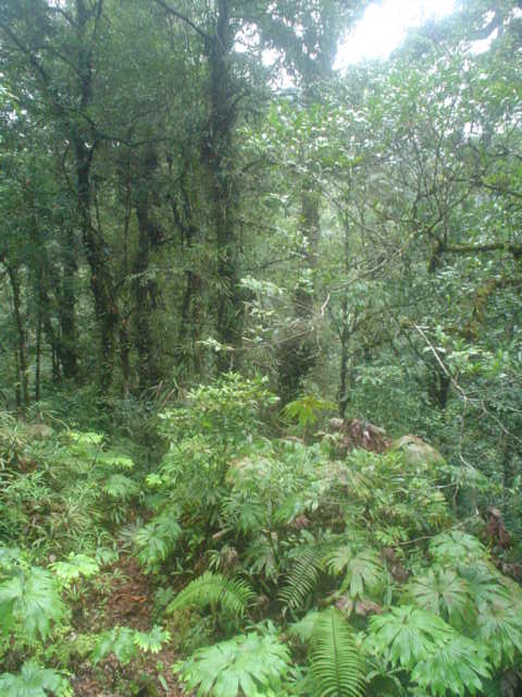 DSC01367.JPG