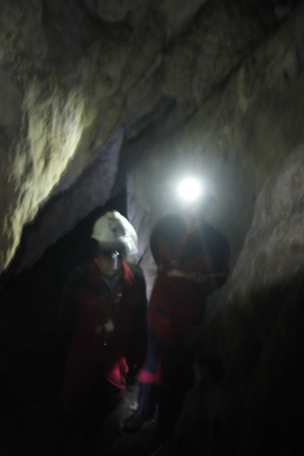 _MG_8735.JPG