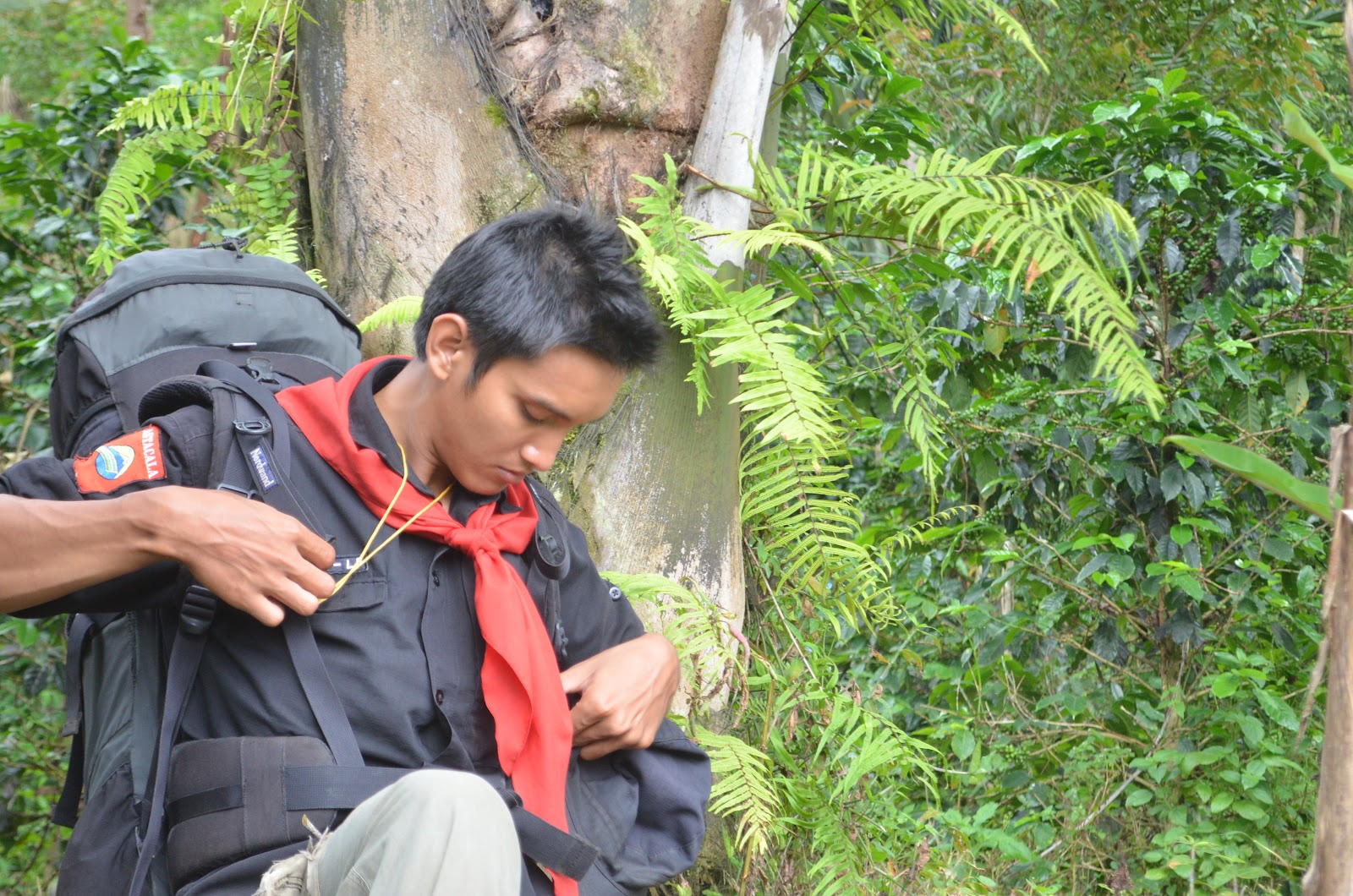 DSC_0043.JPG