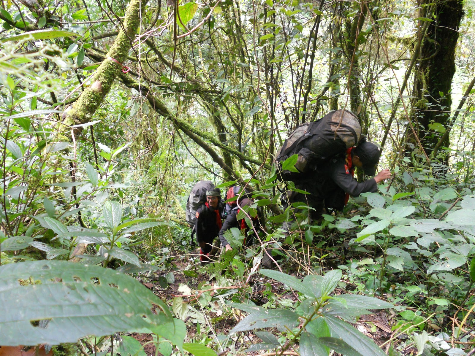 DSCN1556.JPG