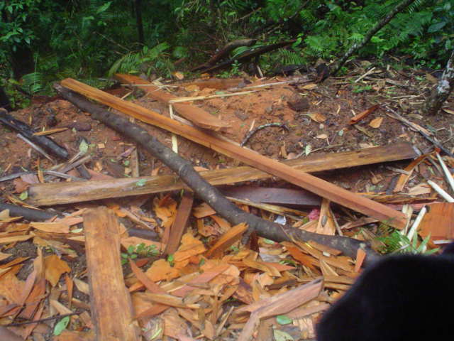 DSC02791.JPG