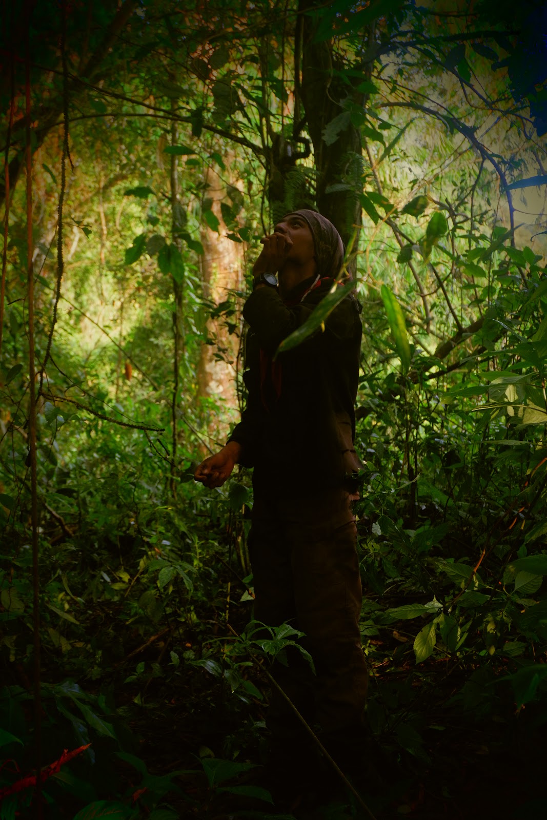 DSCF6536.JPG
