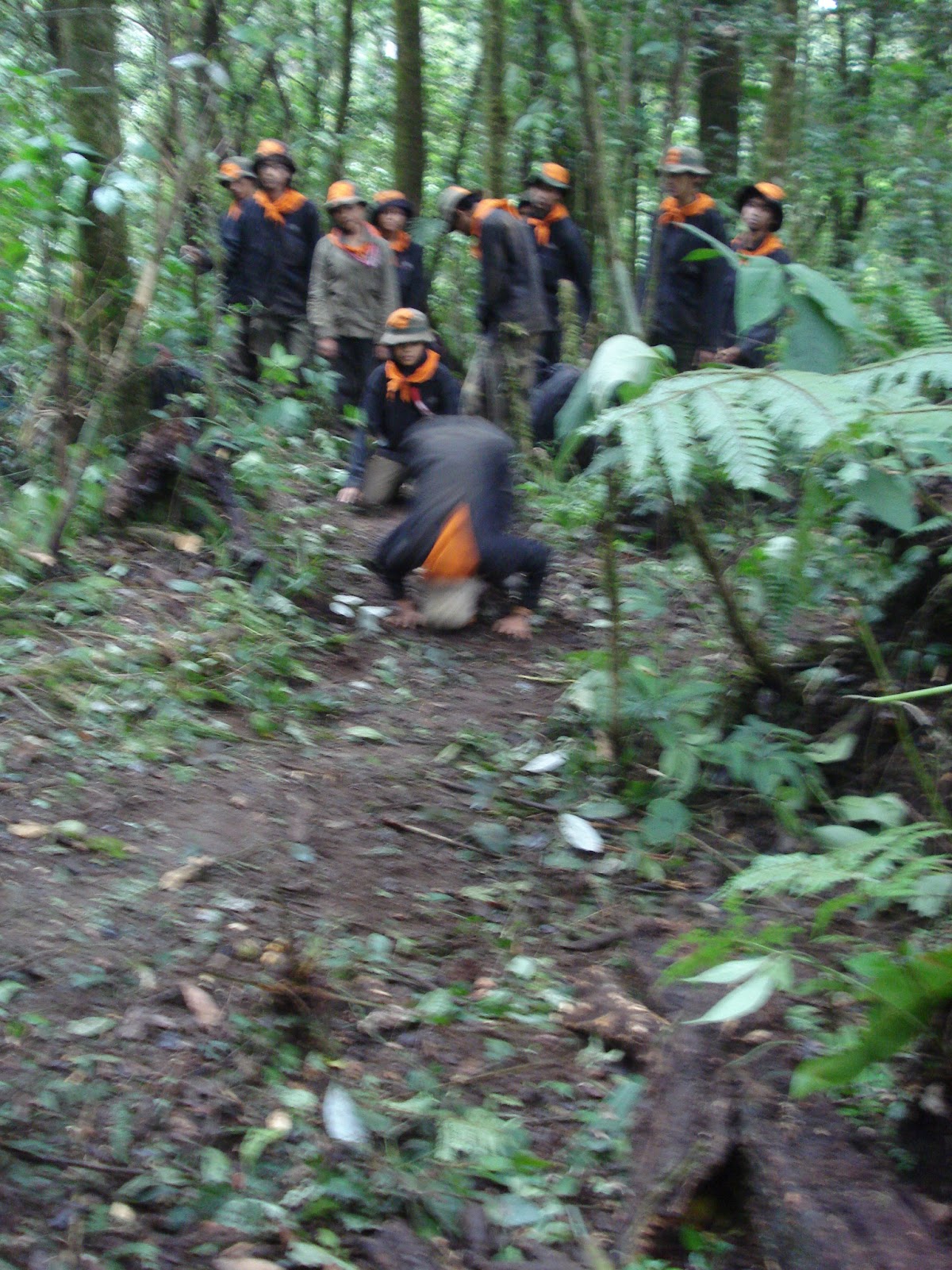 DSC03174.JPG