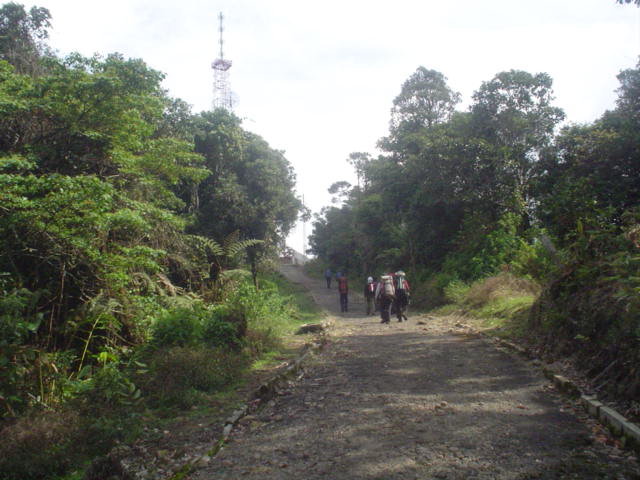 DSC01544.JPG