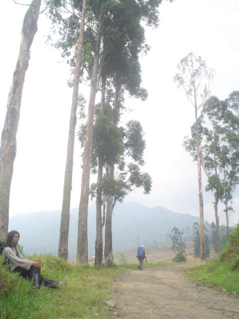 DSC01346.JPG