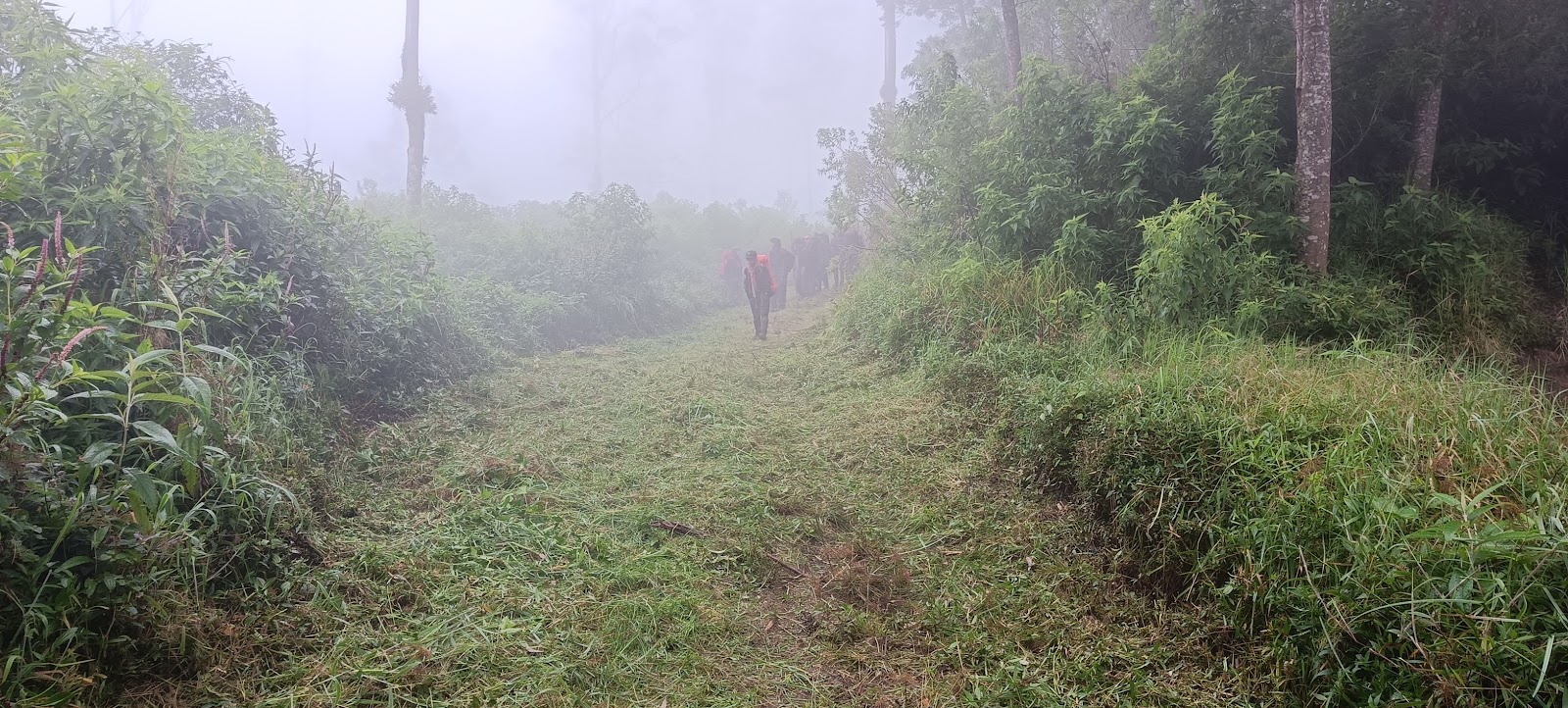 IMG20230129081121.jpg