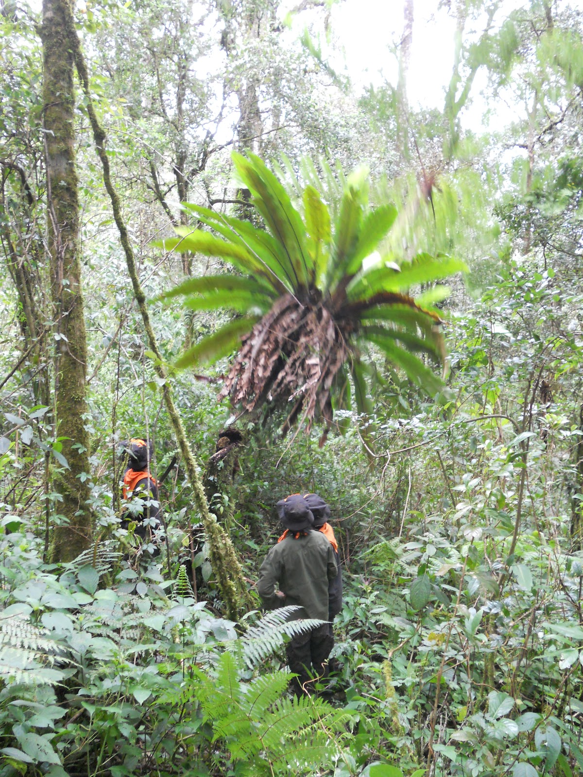DSCN1563.JPG