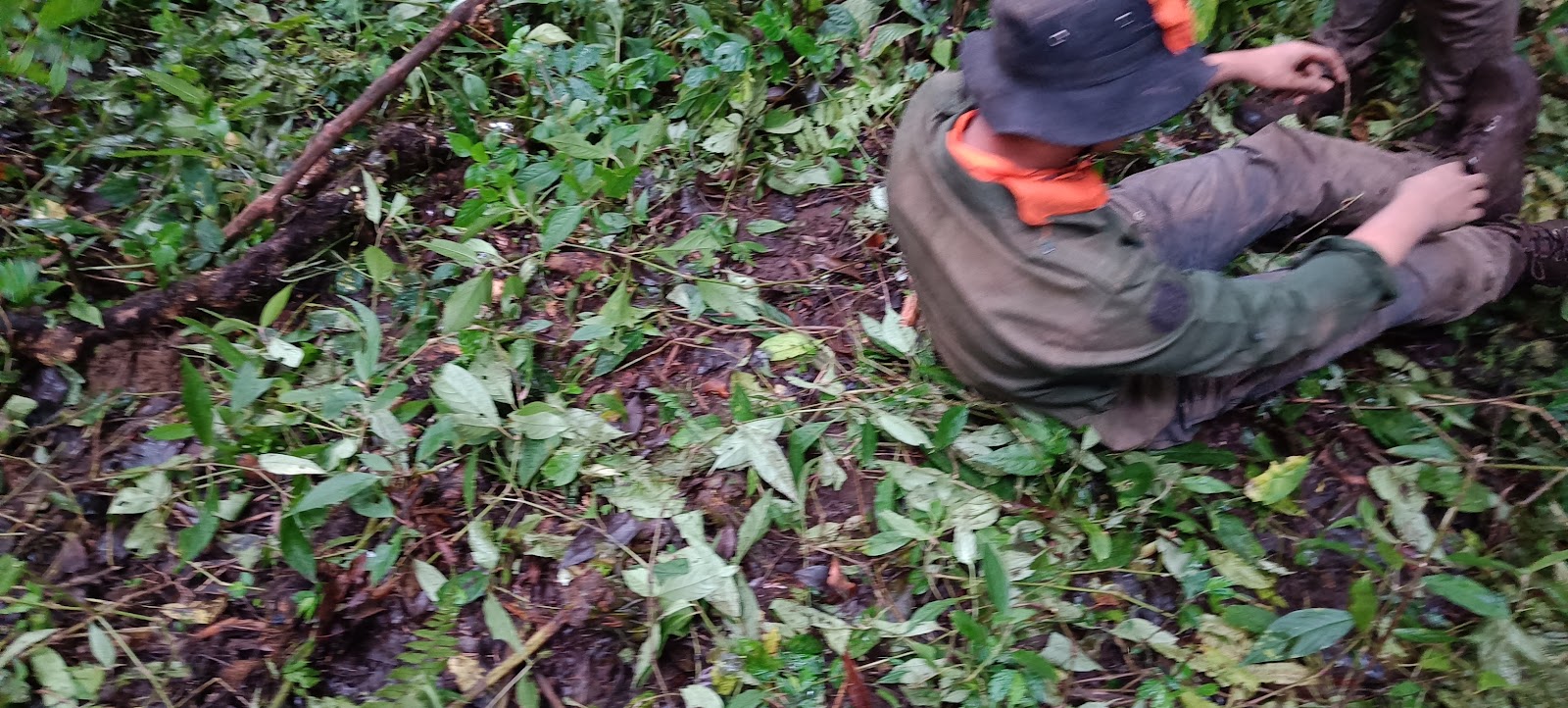 IMG20230128105328.jpg