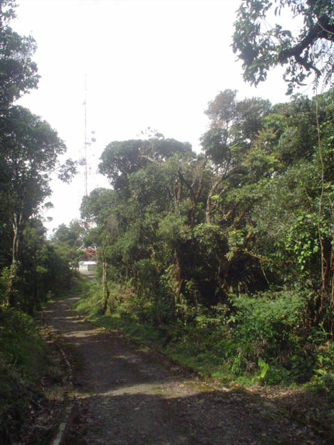 DSC01543.JPG