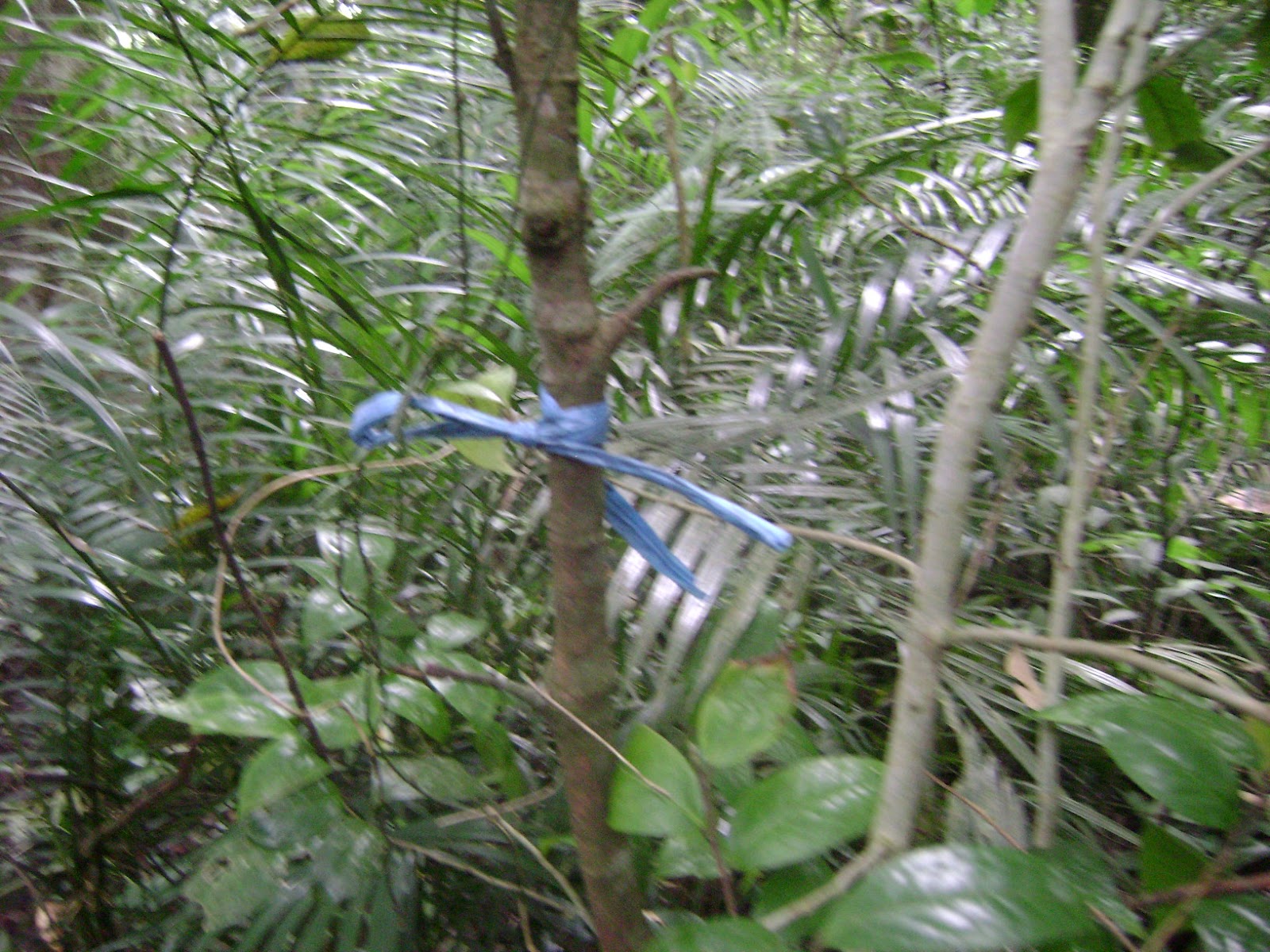 DSC09791.JPG