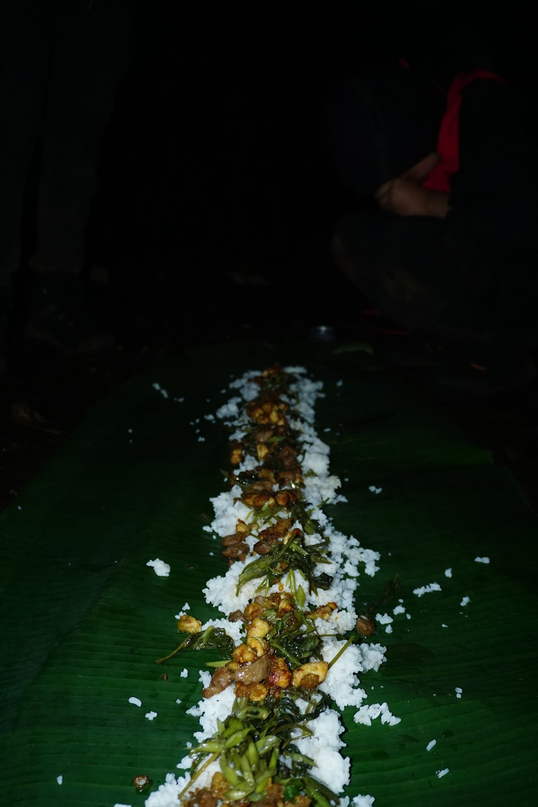 DSC07925.JPG