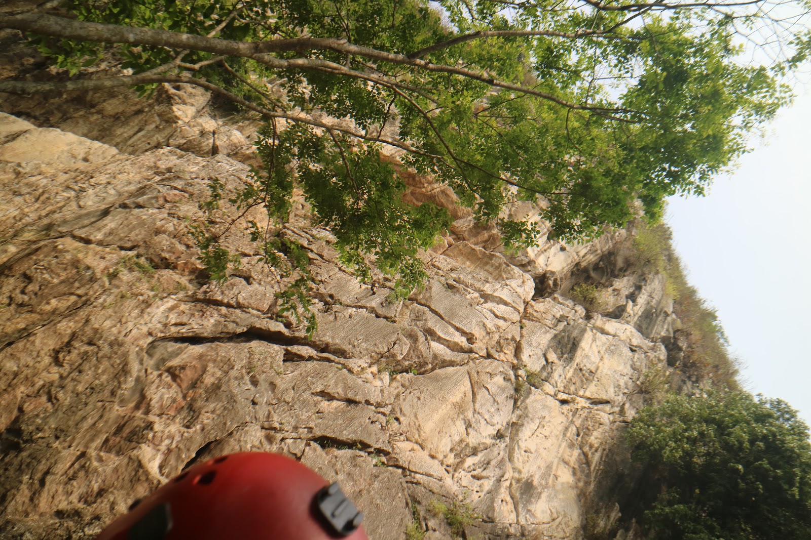 IMG_0529.JPG