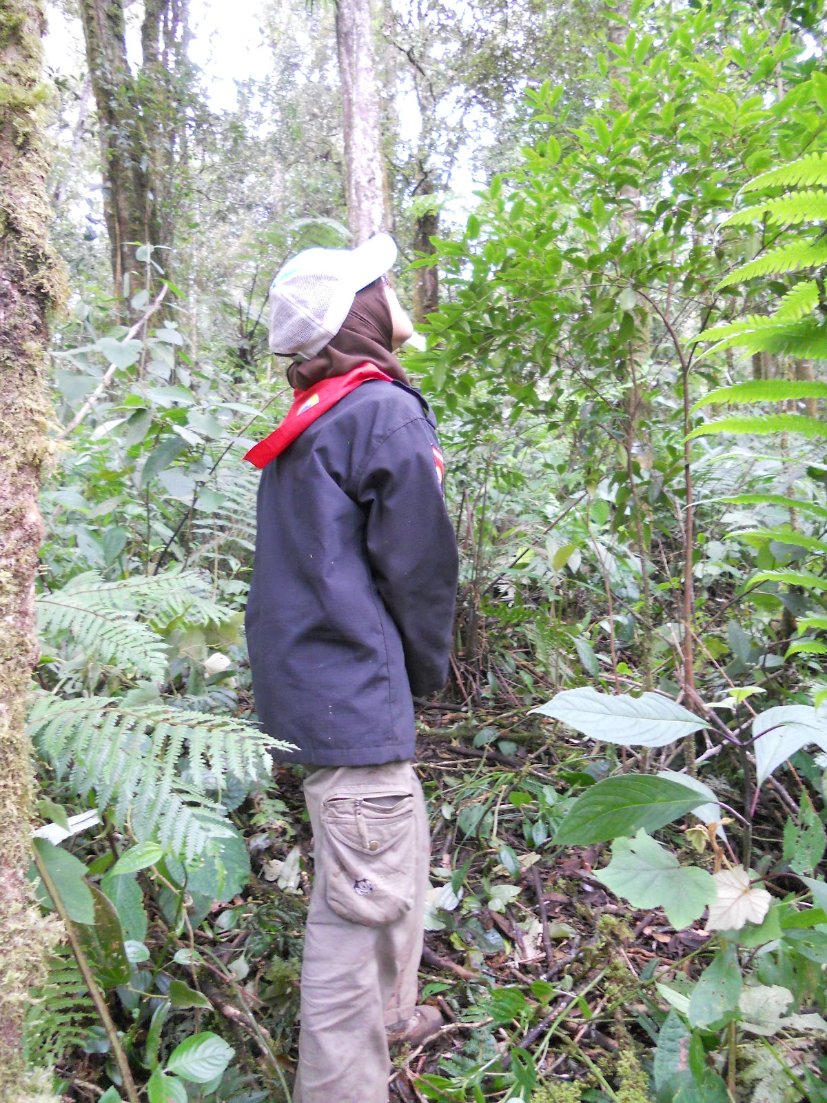 DSCN1587.JPG