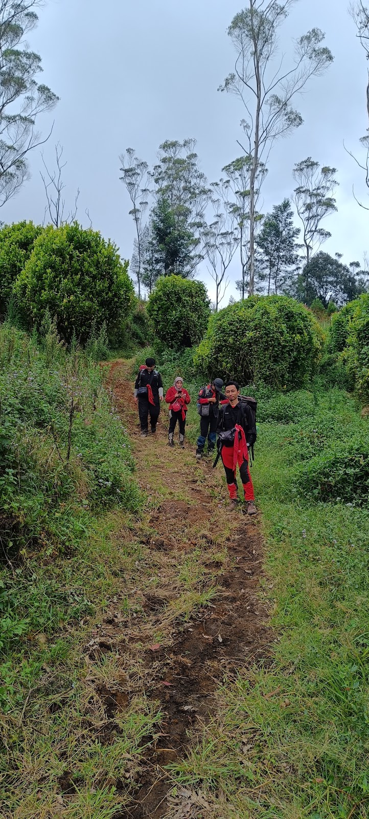 IMG20230127141529.jpg