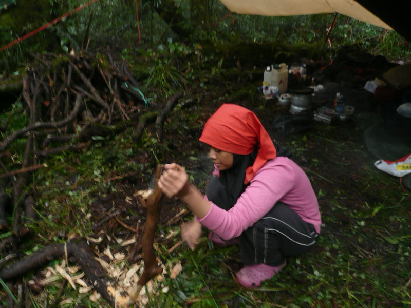 P1040691.JPG
