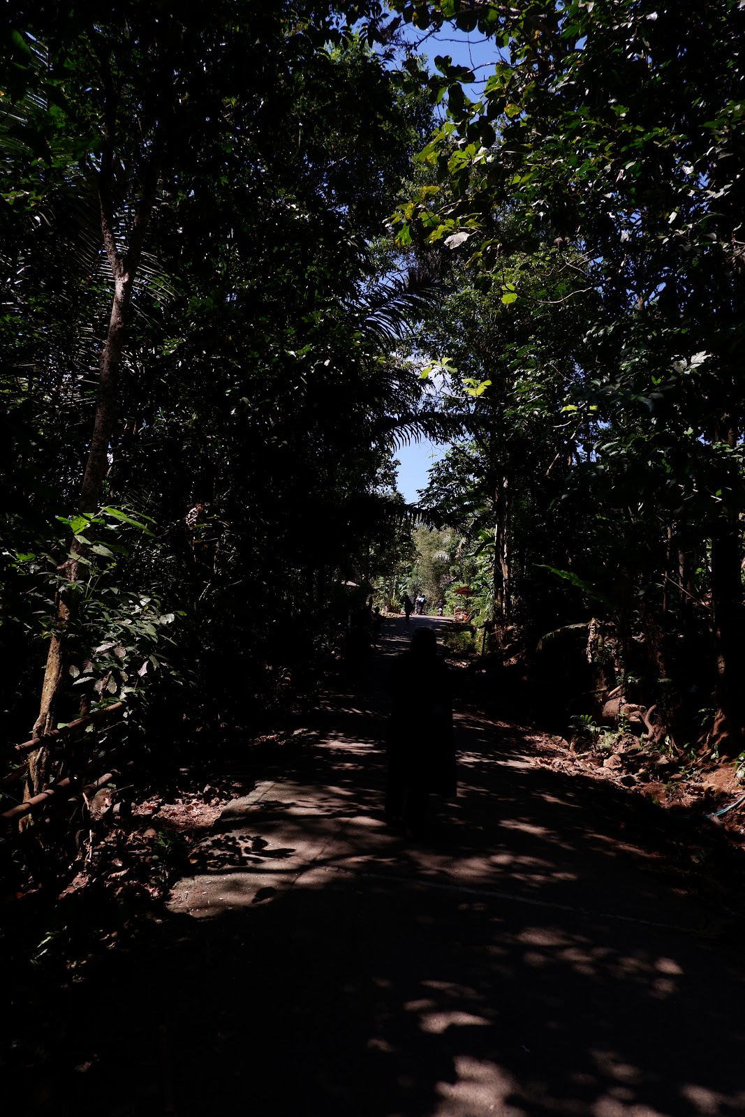 DSCF2114.JPG