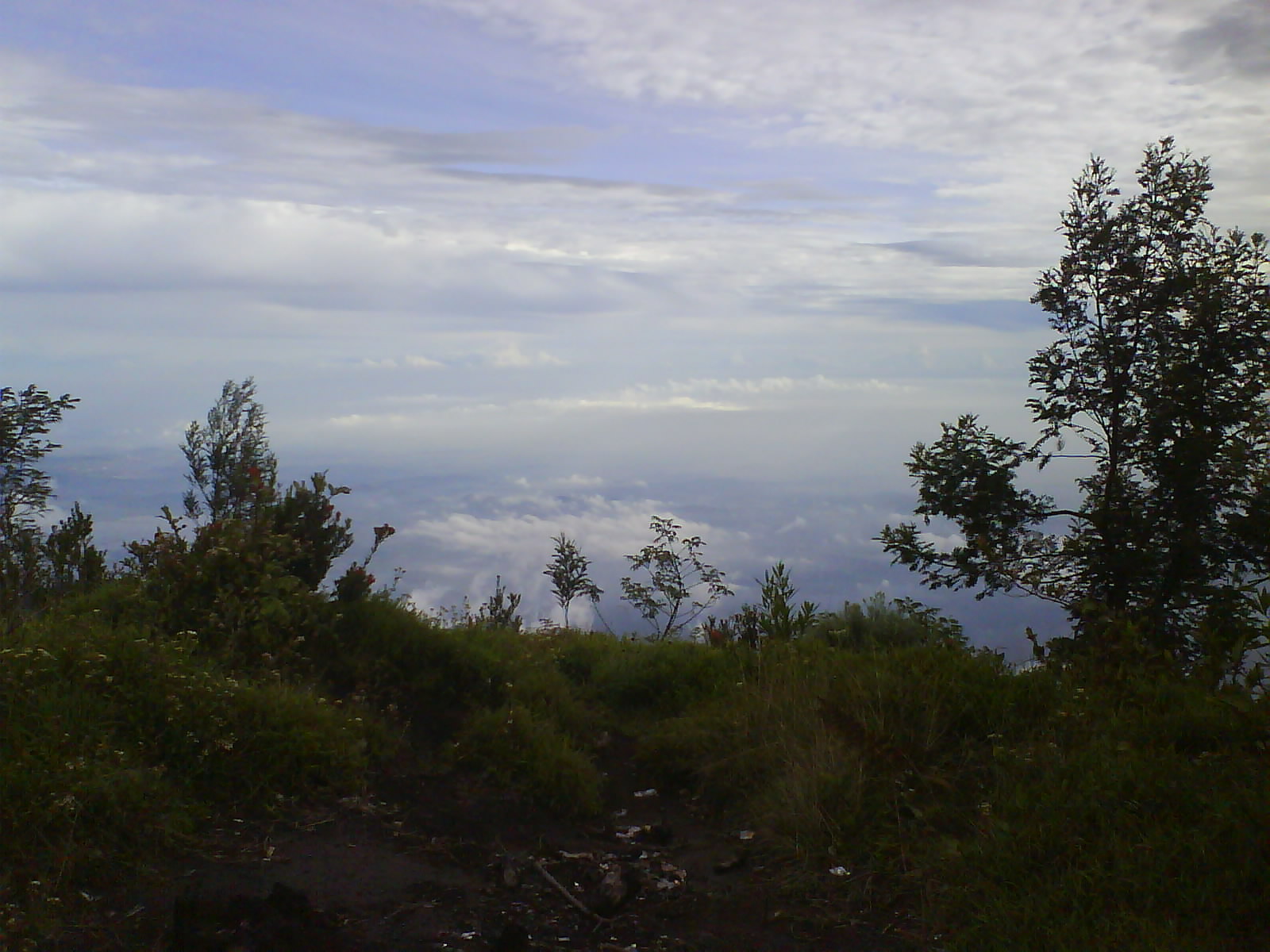 DSC01616.JPG