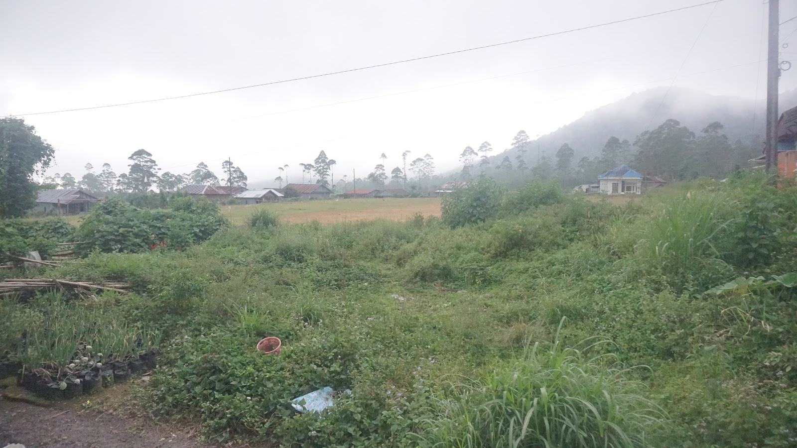 DSC03384.JPG