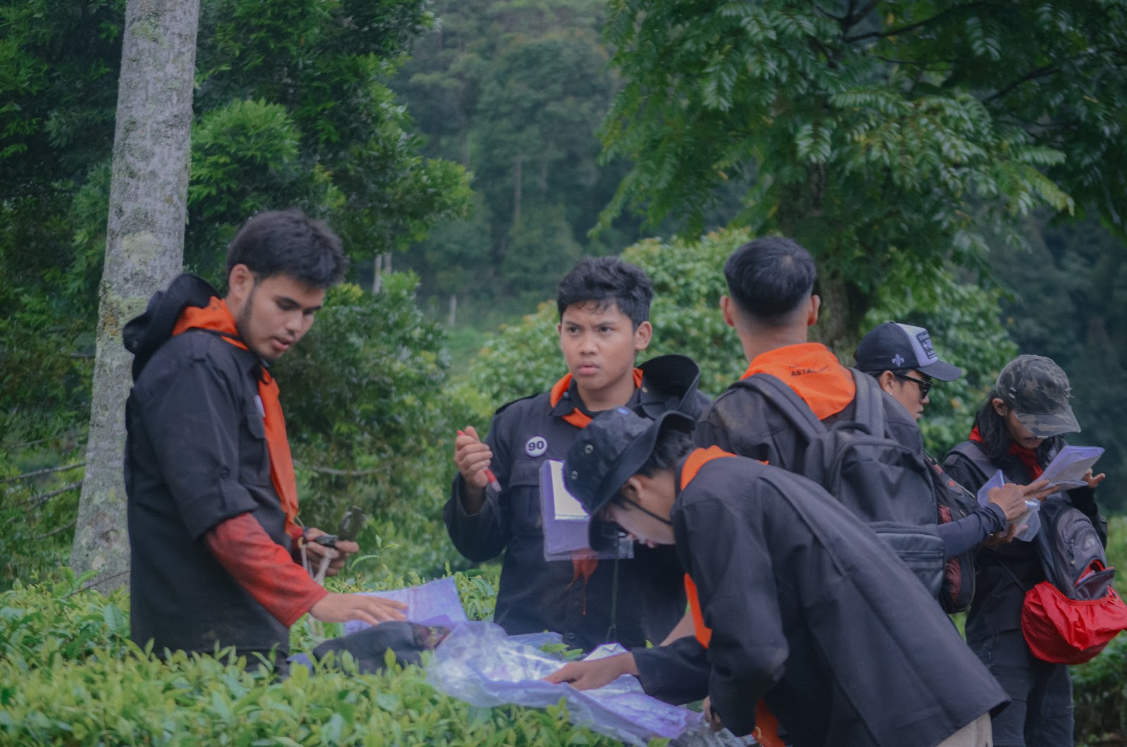 Mountaineering Course-146.jpg