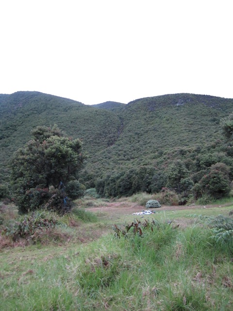 IMG_0060.JPG