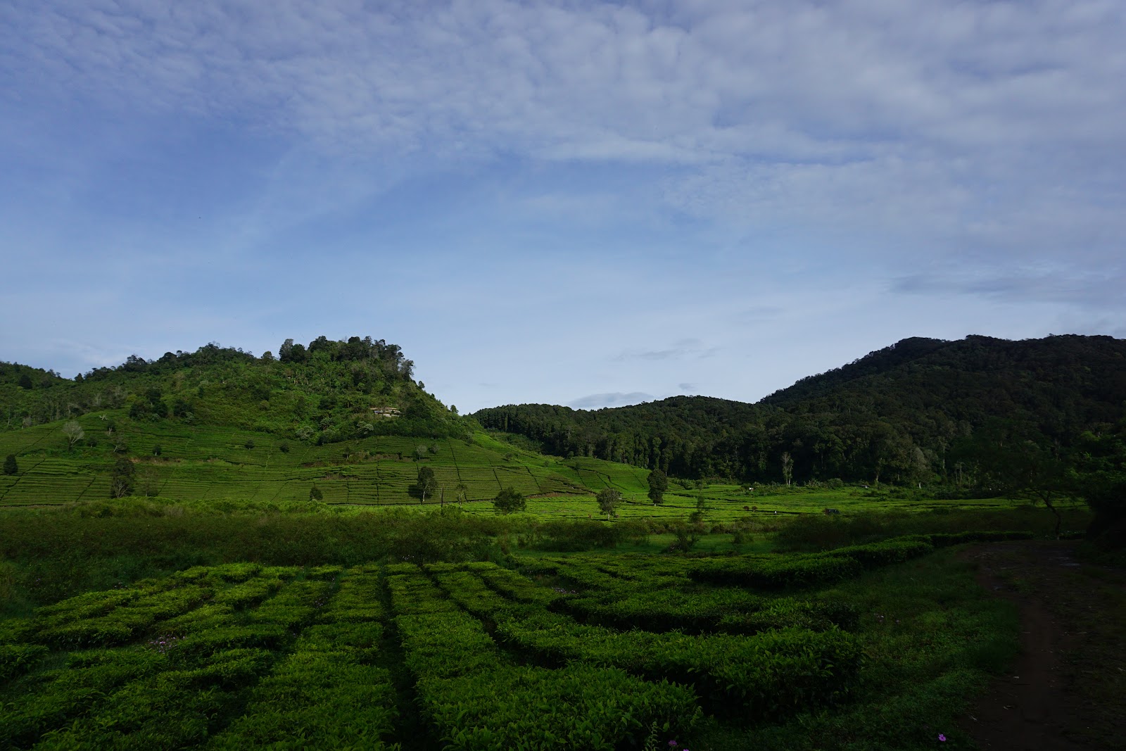 DSC07812.JPG